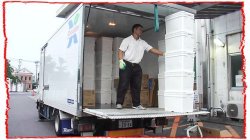 画像2: 木澤大祐４　ジュラシックレボリューション