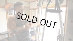 画像3: 佐藤茂男 起死回生／WILDBODY SHIGEO／2016